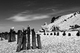 What Remains 16